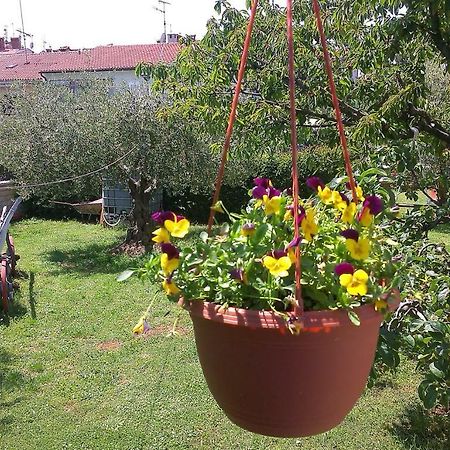 Studio Benassi Poreč Buitenkant foto