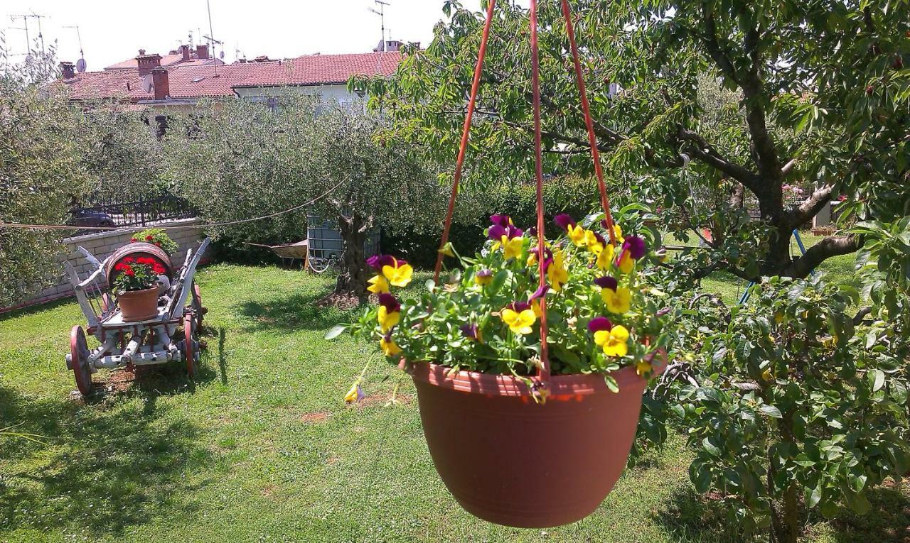Studio Benassi Poreč Buitenkant foto