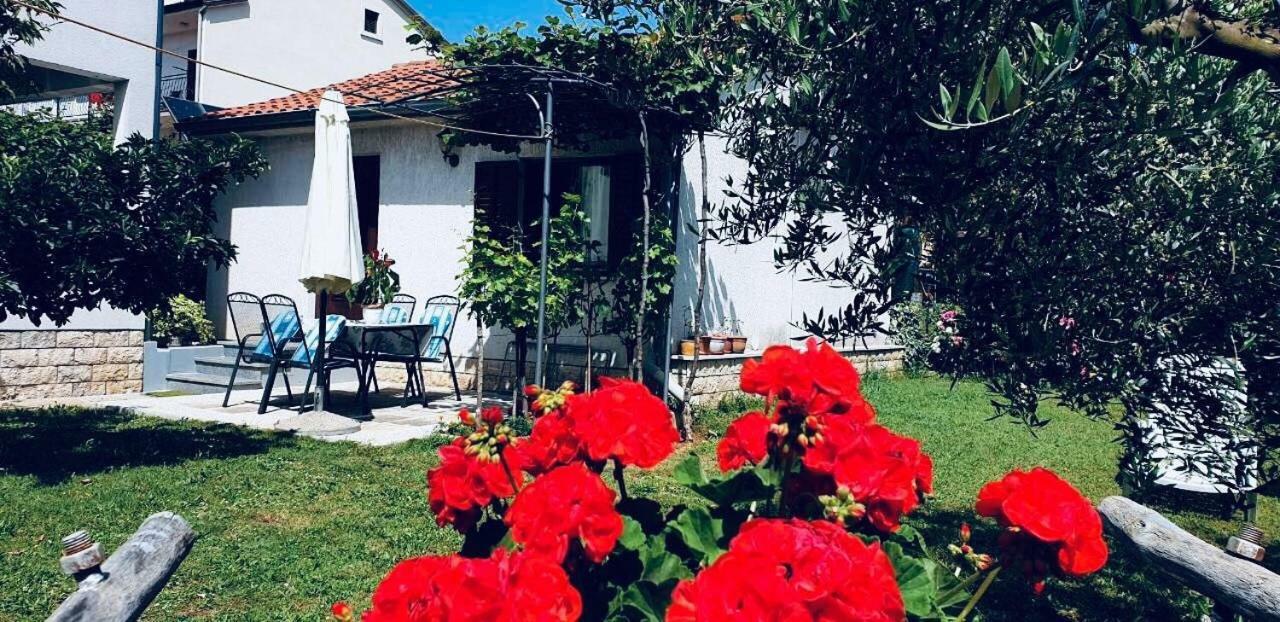Studio Benassi Poreč Buitenkant foto